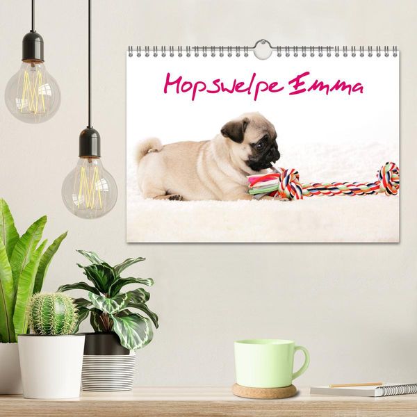 Produktbild: Mopswelpe Emma (Wandkalender 2026 DIN A4 quer), CALVENDO Monatskalender