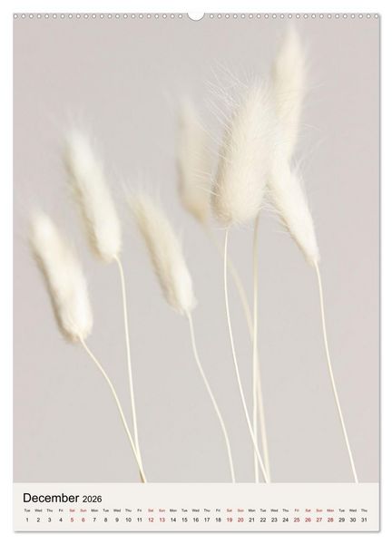 Produktbild: Dried Flowers (High Quality Premium Wall Calendar 2026 DIN A2 portrait),CALVENDO 12 Month Wall Calendar