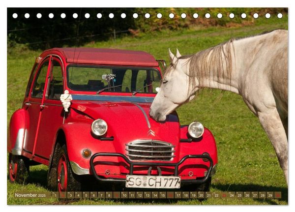 Produktbild: Citro&euml;n 2CV - Ente rot (Tischkalender 2025 DIN A5 quer), CALVENDO Monatskalender