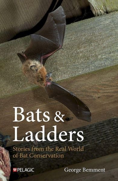Bats & Ladders, Taschenbuch von George Bemment, Pelagic Publishing, 9781784275815