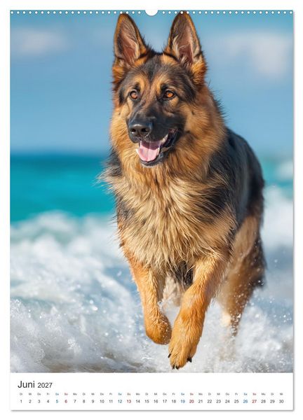 Produktbild: Seelenblick Sch&auml;ferhund (hochwertiger Premium Wandkalender 2027 DIN A2 hoch), Kunstdruck in Hochglanz