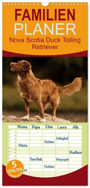 Produktbild: Familienplaner 2026 - Nova Scotia Duck Tolling Retriever mit 5 Spalten (Wandkalender, 21 x 45 cm) CALVENDO