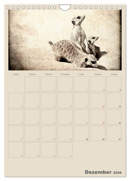 Produktbild: Lustige Erdm&auml;nnchen (Wandkalender 2026 DIN A4 hoch), CALVENDO Monatskalender