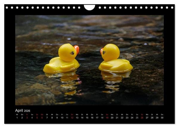 Produktbild: Enten-Rennen (Wandkalender 2026 DIN A4 quer), CALVENDO Monatskalender