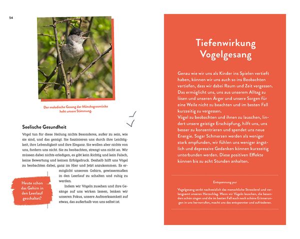 Produktbild: Die Superkr&auml;fte der V&ouml;gel