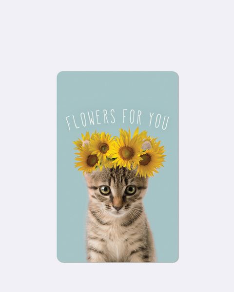 Produktbild: Lunacard Postkarte *Sunflower cat