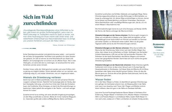 Abenteuer Wald