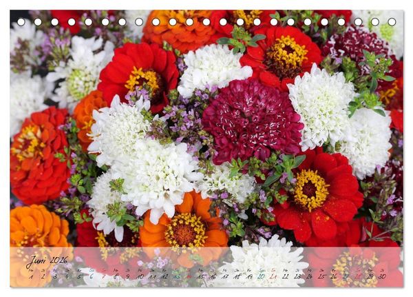 Produktbild: Bl&uuml;ten dicht an dicht (Tischkalender 2026 DIN A5 quer), CALVENDO Monatskalender