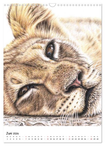 Produktbild: Wildlife Portraits (Wandkalender 2026 DIN A3 hoch), CALVENDO Monatskalender