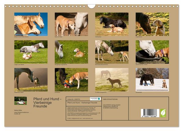 Produktbild: Pferd und Hund - Vierbeinige Freunde (Wandkalender 2026 DIN A3 quer), CALVENDO Monatskalender