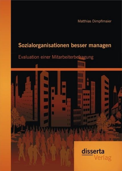 Produktbild: Sozialorganisationen besser managen: Evaluation einer Mitarbeiterbefragung