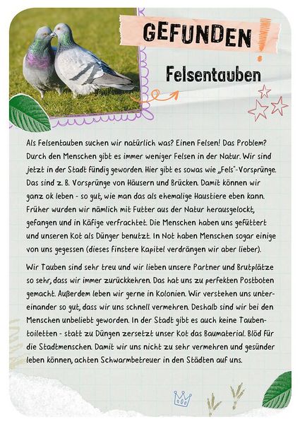 Produktbild: Tierische Wohnung gesucht - Welches Tier zieht hier ein?