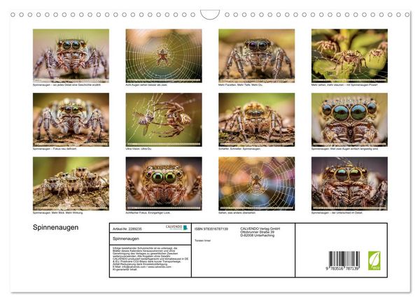 Produktbild: Spinnenaugen (Wandkalender 2027 DIN A3 quer), CALVENDO Monatskalender