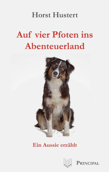 Produktbild: Auf vier Pfoten ins Abenteuerland
