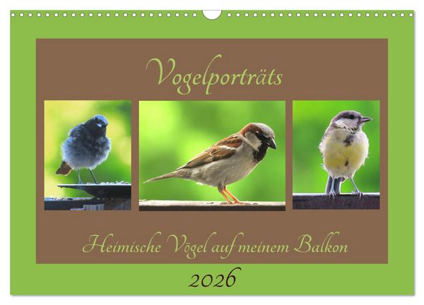 Produktbild: Vogelportr&auml;ts - Heimische V&ouml;gel auf meinem Balkon (Wandkalender 2026 DIN A3 quer), CALVENDO Monatskalender