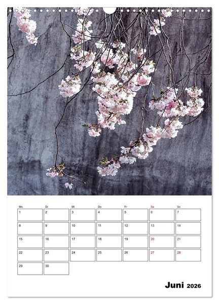 Produktbild: Mauerbl&uuml;mchen - Poesie im Allt&auml;glichen als Monatsplaner (Wandkalender 2026 DIN A3 hoch), CALVENDO Monatskalender