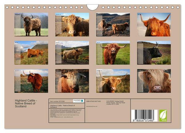 Produktbild: Highland Cattle - Native Breed of Scotland (Wall Calendar 2026 DIN A4 landscape), CALVENDO 12 Month Wall Calendar