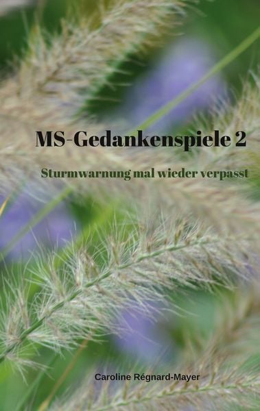 Produktbild: MS-Gedankenspiele 2