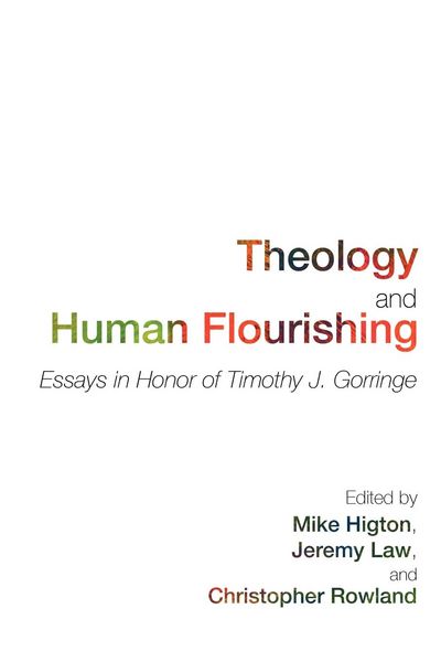 Produktbild: Theology and Human Flourishing