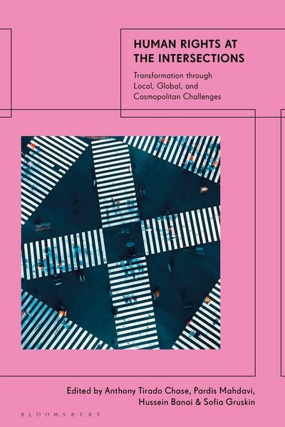 Produktbild: Human Rights at the Intersections