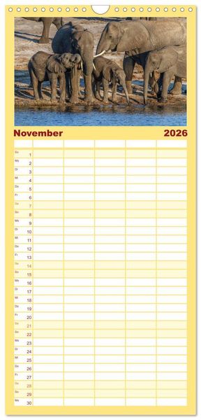 Produktbild: Familienplaner 2026 - Afrikas Tierwelt: Elefantenbabys mit 5 Spalten (Wandkalender, 21 x 45 cm) CALVENDO