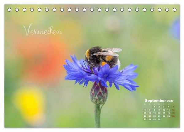 Produktbild: Bl&uuml;ten,Fl&uuml;gel und Gedanken &ndash; Ein Jahr in Bildern und Worten (Tischkalender 2027 DIN A5 quer), CALVENDO Monatskalender
