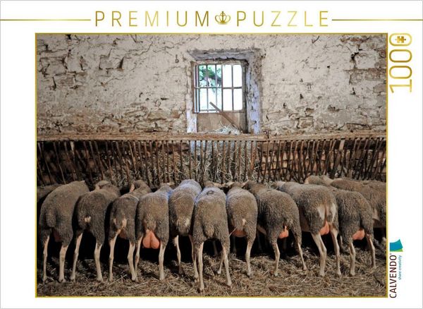 Produktbild: CALVENDO Puzzle Schafe am Trog | 1000 Teile Lege-Gr&ouml;&szlig;e 64x48cm Foto-Puzzle f&uuml;r gl&uuml;ckliche Stunden