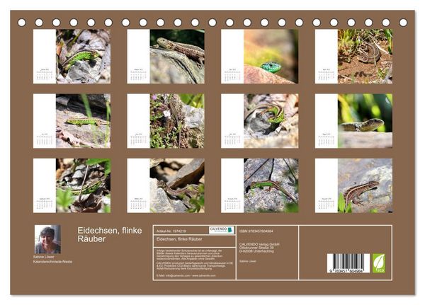 Produktbild: Eidechsen, flinke R&auml;uber (Tischkalender 2026 DIN A5 quer), CALVENDO Monatskalender