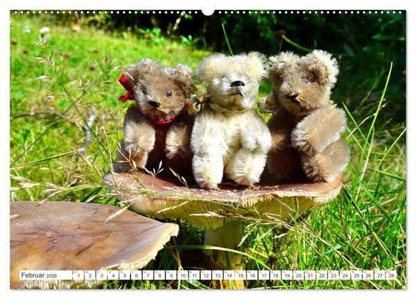 Produktbild: Pilz-Tiere (Wandkalender 2026 DIN A2 quer), CALVENDO Monatskalender