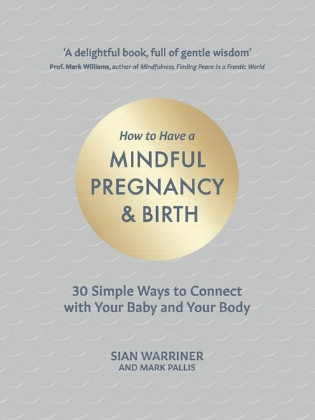 Produktbild: Warriner, S: How to Have a Mindful Pregnancy and Birth