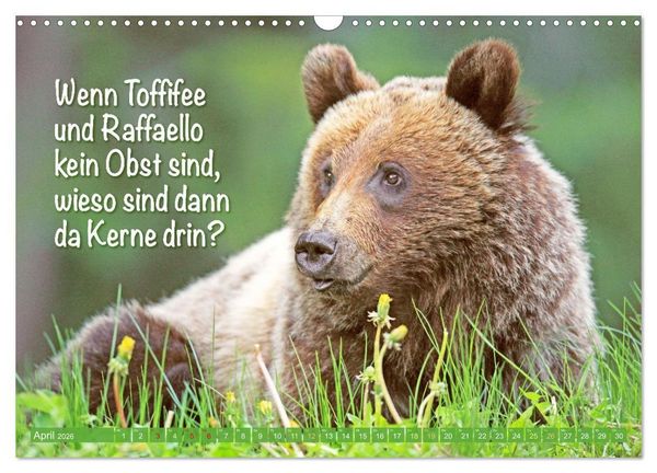 Produktbild: Spa&szlig; mit B&auml;ren: Edition lustige Tiere (Wandkalender 2026 DIN A3 quer), CALVENDO Monatskalender