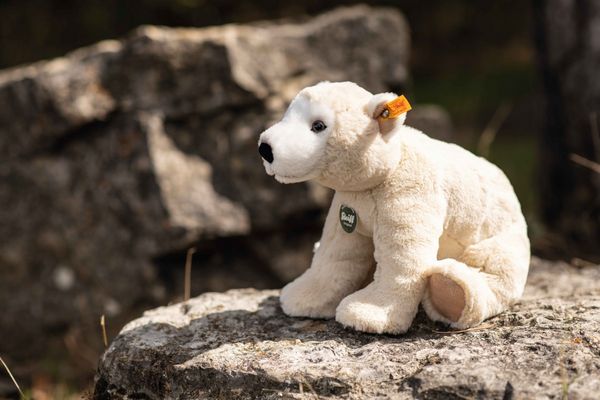 Produktbild: Steiff 062575 - Siro Eisb&auml;r, sitzend, beige/weiss, Pl&uuml;sch, 30 cm
