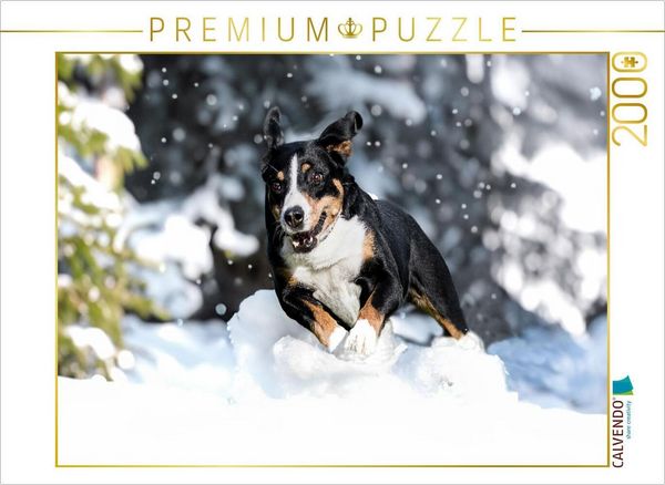 CALVENDO Puzzle Appenzeller Power | 2000 Teile Lege-Größe 90x67cm Foto-Puzzle für glückliche Stunden