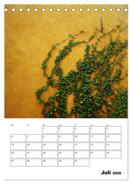 Produktbild: Mauerbl&uuml;mchen - Poesie im Allt&auml;glichen als Monatsplaner (Tischkalender 2026 DIN A5 hoch), CALVENDO Monatskalender