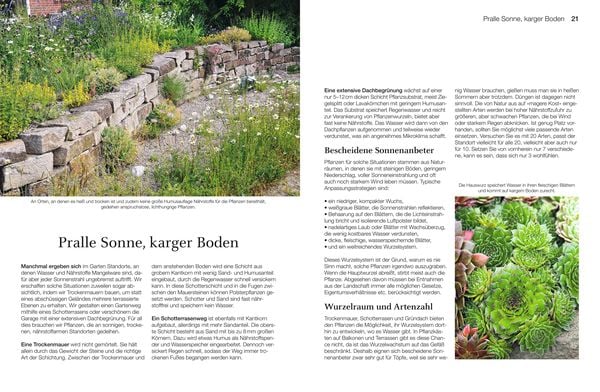 Produktbild: Welche Pflanze passt wohin im Naturgarten?
