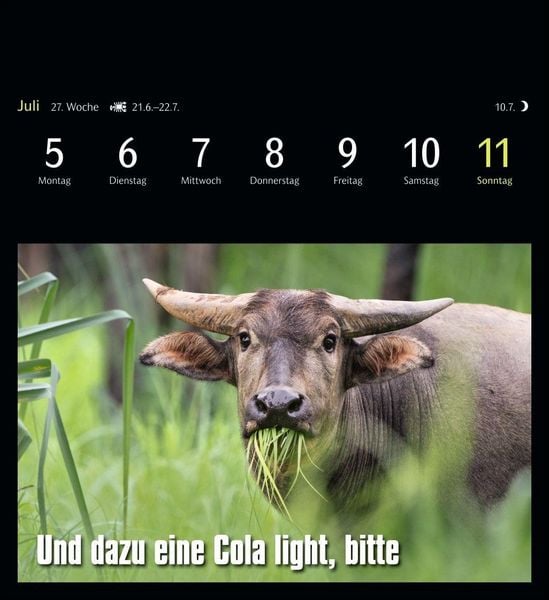 Produktbild: Animal Memes Postkartenkalender 2027 - 53 tierisch witzige Postkarten