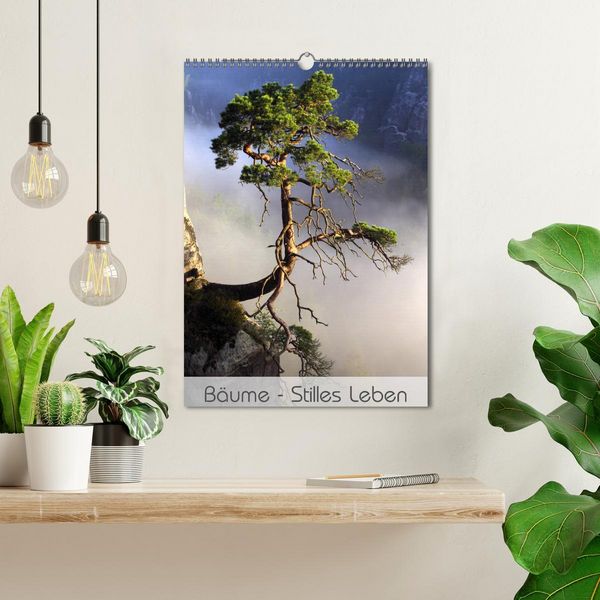 Produktbild: B&auml;ume - Stilles Leben (Wandkalender 2026 DIN A3 hoch), CALVENDO Monatskalender