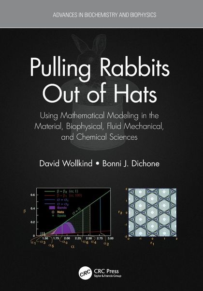 Produktbild: Pulling Rabbits Out of Hats