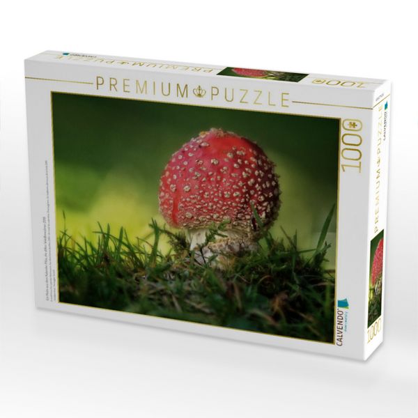 Produktbild: CALVENDO Puzzle Ein Motiv aus dem Kalender Pilze, die stillen Waldbewohner 2019 | 1000 Teile Lege-Gr&ouml;&szlig;e 64x48cm Foto-Puzzle f&uuml;r gl&uuml;ckliche Stunden