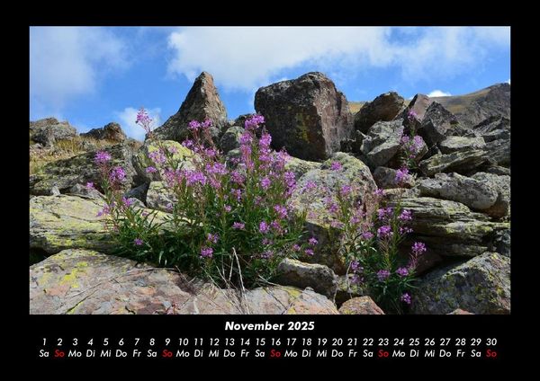 Produktbild: Blumentr&auml;ume 2025 Fotokalender DIN A3