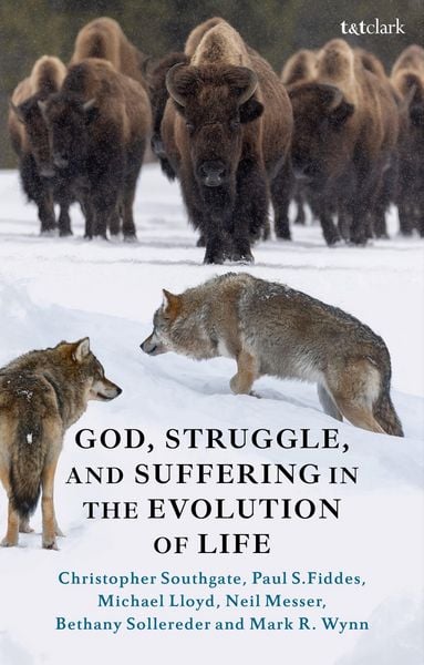 Produktbild: God, Struggle, and Suffering in the Evolution of Life