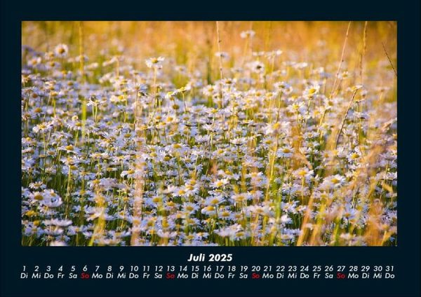 Produktbild: Bilder der Natur 2025 Fotokalender DIN A4