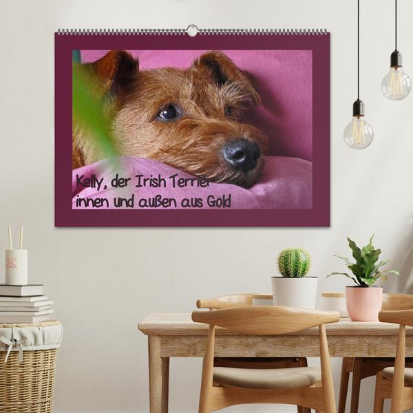 Produktbild: Kelly, der Irish Terrier - innen und au&szlig;en aus Gold (Wandkalender 2026 DIN A2 quer), CALVENDO Monatskalender