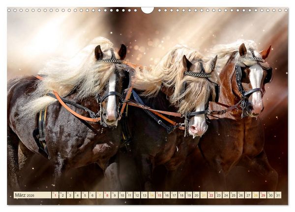 Produktbild: Eleganz und Sch&ouml;nheit - Pferde (Wandkalender 2026 DIN A3 quer), CALVENDO Monatskalender