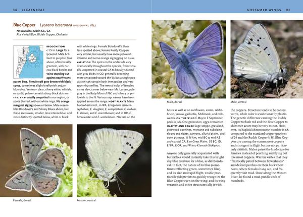 Produktbild: Butterflies of the Pacific Northwest