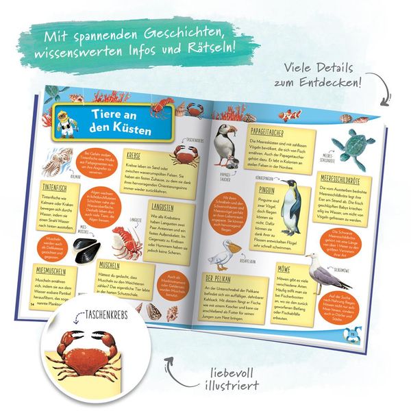 Produktbild: Tr&ouml;tsch Das Meer Geschichten Spiele Wissenswertes Stickerbuch