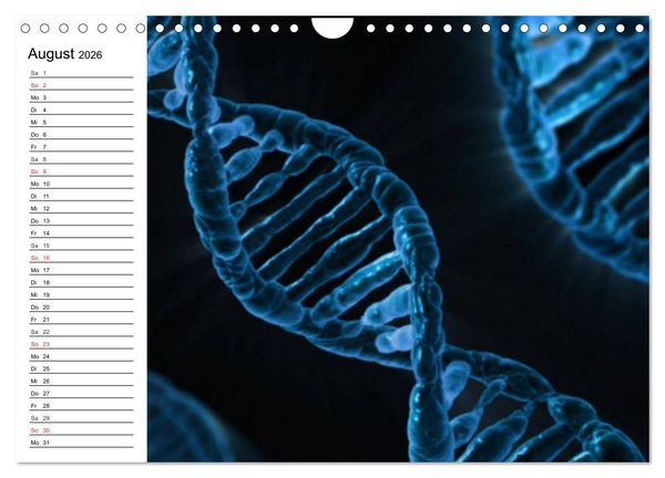 Produktbild: Mikrobiologie. Mikroorganismen, Genetik und Zellen (Wandkalender 2026 DIN A4 quer), CALVENDO Monatskalender