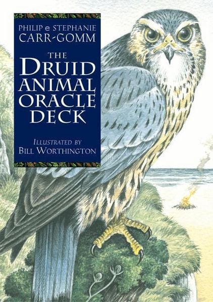 Produktbild: The Druid Animal Oracle Deck