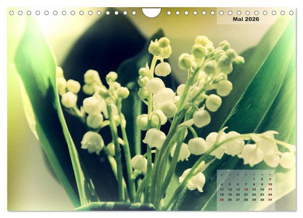 Produktbild: Bl&uuml;ten im Retro-Style (Wandkalender 2026 DIN A4 quer), CALVENDO Monatskalender