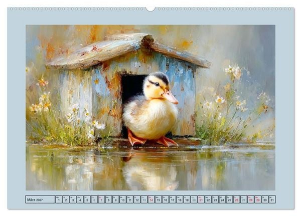 Produktbild: Zwergenten. Bezaubernde Schreih&auml;lse in der Natur (Wandkalender 2027 DIN A2 quer), CALVENDO Monatskalender